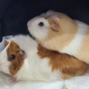 뉴월드 동물병원 이미지