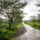 신례교차로 2 이미지