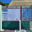 맹종죽테마파크1 | 거제 가족여행 가볼만한 곳 &#39;거제맹종죽테마파크&#39; 대나무숲 힐링코스