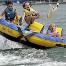 고양이날다 이미지