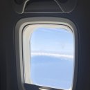 카멜리아 전주횟집 | 제주도 가족여행