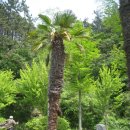 순천만자연드림목장 이미지