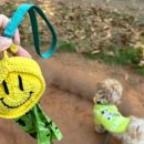 산책갈까? 이미지