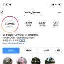 보위플라워즈