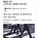 느리게걷는사람들