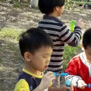 삼일어린이집 이미지