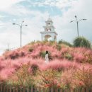 제주허브동산 이미지