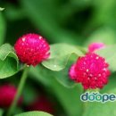 전포초등학교 이미지