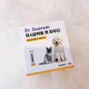 더튼튼동물약국 이미지