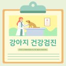 상암동물병원 네이버블로그