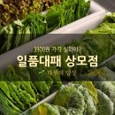 일품대패상모점