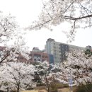 수원외국어고등학교 이미지