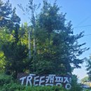 C16 | 낙조맛집 선재도 트리캠핑장 c16 구역 2박 3일 캠핑 후기