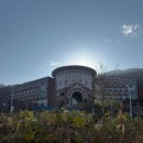 기롱 | 용인 단풍명소 용인외대 단풍 명수당 포토존 실시간 방문후기