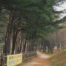 송지호 자전거대여소 이미지