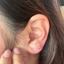 클래식 | 대전귀뚫는곳 피어싱 맛집 도안동 피어싱클래식 후기