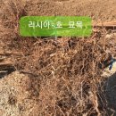 고흥-8호 이미지