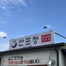 안포정