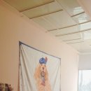 남뽕애견샵 이미지