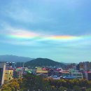 채운 국민일보
