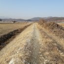 엄정면사무소 이미지