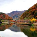좌광천산책로2 네이버블로그