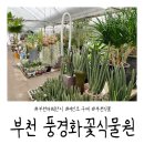 풍경화꽃식물원 이미지