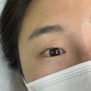 월곡역 속눈썹펌 오늘뷰티 내돈내산 재방문 후기