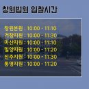 사파동239 이미지