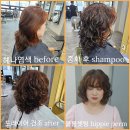 히피펌 부터 엘리자베스펌 까지 모든 웨이브 파마를 잘하고 싶다면 이미지