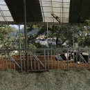 이철주목장 이미지