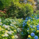 루몽드917 이미지