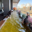 아쿠아필드 | 안성 스타필드 아쿠아필드 후기｜찜질방 솔직 리뷰