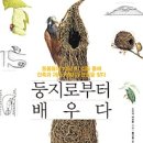 더둥지