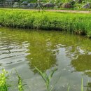 망월천_호수공원1 이미지