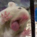 이* Daum카페