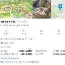 연천-14 | [연천캠핑장] 고대산자연휴양림 캠핑장 내돈내산 즐거웠던 후기