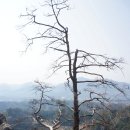 성불산자연휴양림 이미지