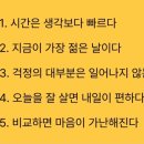 작가의 산책길 이미지