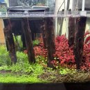 물속풍경 | 물속풍경수족관 방문후기