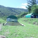 구재봉자두중서 이미지