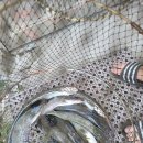 전곡낚시터 이미지