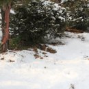 지성병원 이미지