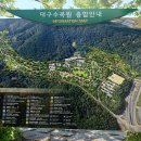(대구) 46步生클럽 창립, 대구수목원 2왕복 맨발earthing투어 (25.6.26.목) 이미지