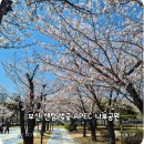APEC나루공원2호 | 부산 센텀 벚꽃 명소 🌸 APEC 나루공원 봄 산책, 여유로운 하루 기록