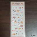 디자인다람 이미지