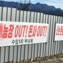 김윤순농장 네이버블로그