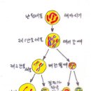 정자우리들 이미지