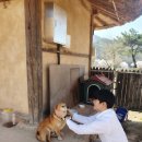 지석민박 이미지