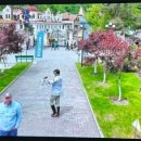 가비민박 이미지